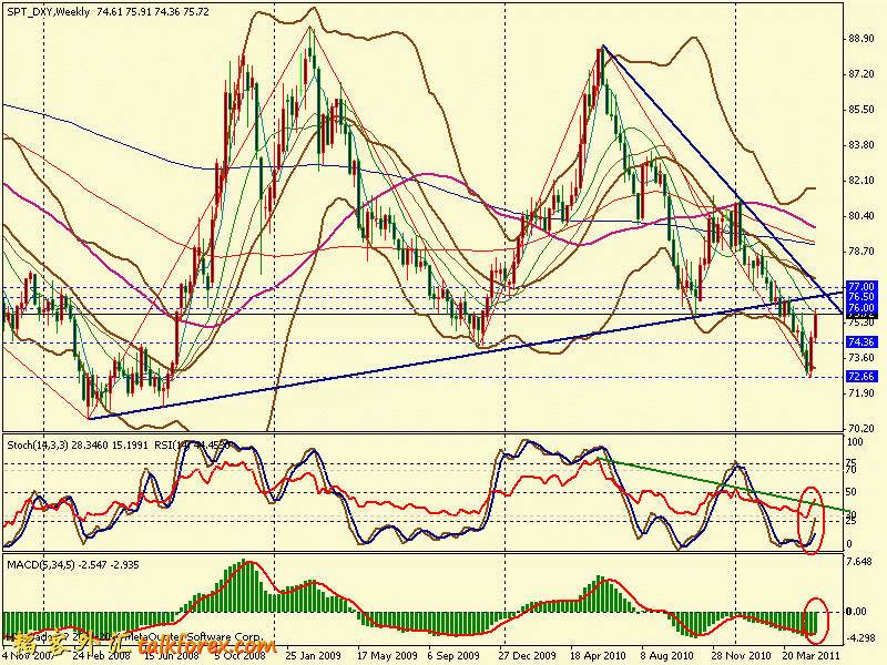 usdx w 110513.gif