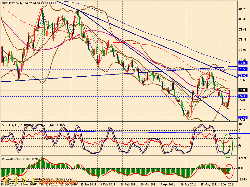 usdx d 110610.gif
