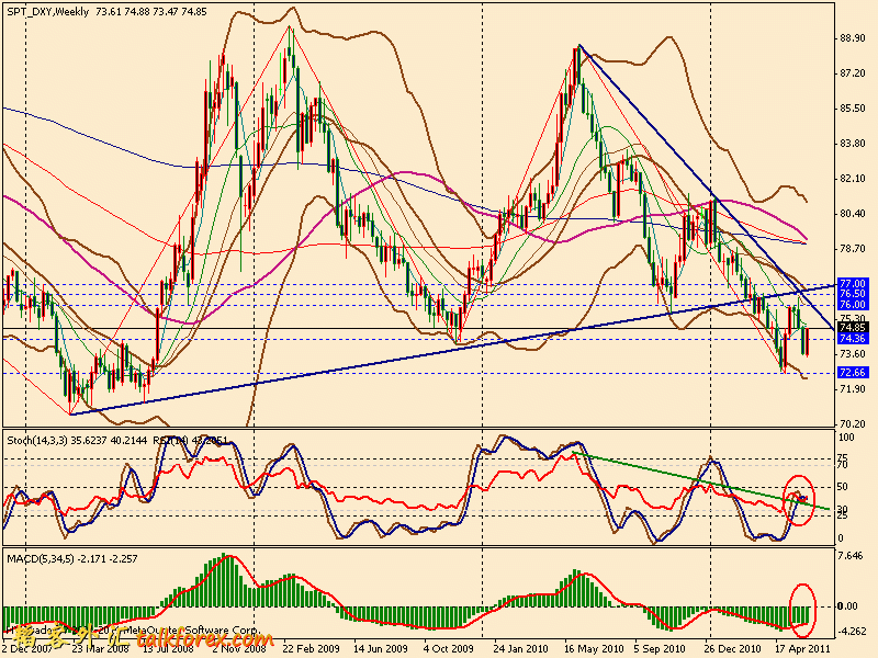 usdx w 110610.gif