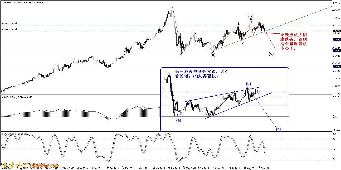 silver 2011年9月13日.JPG