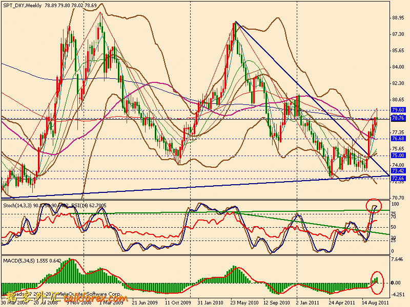usdx w 111007.gif