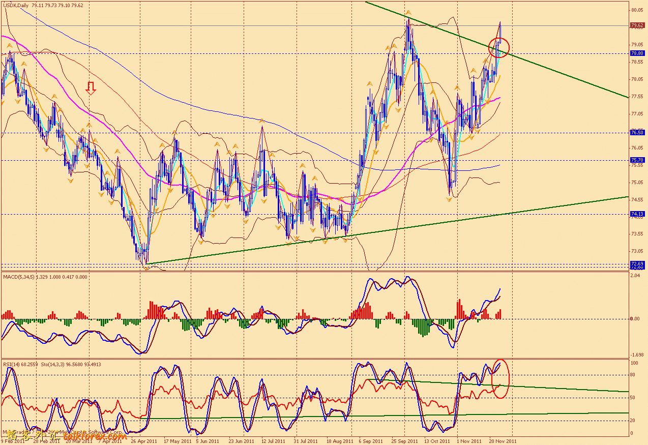 usdx d 111125.gif